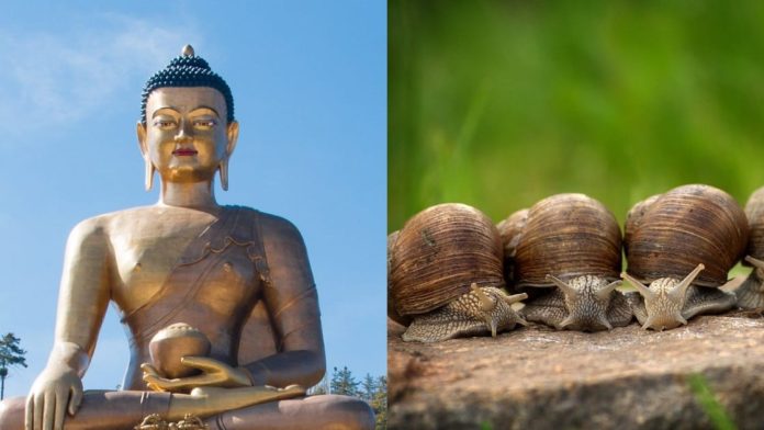 Bole India: facts about gautam buddha