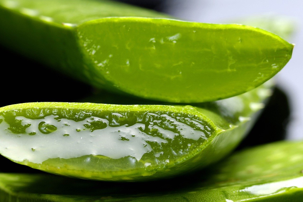 Aloe Vera Benefits